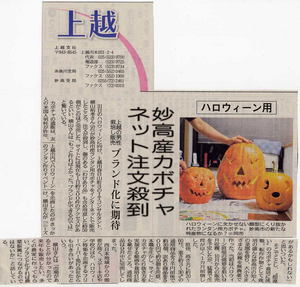 横山,ハロウィンかぼちゃ,新潟日報