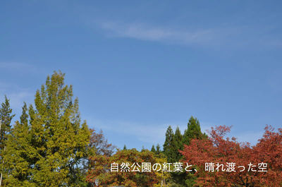 東福寺野自然公園