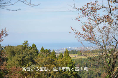 東福寺野自然公園