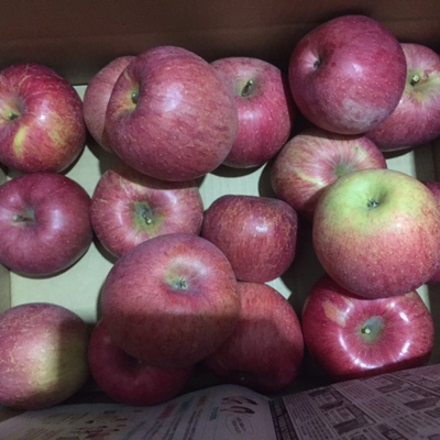 信州リンゴ