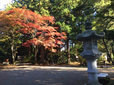 春日山神社の紅葉