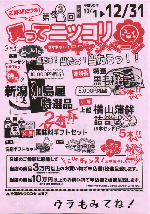ニュースレター