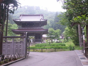 0906%20rinsenji09060605.JPG