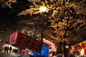 09yozakura09040929.jpg