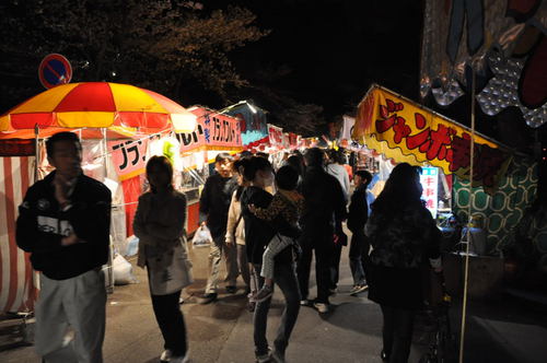 夜桜（城下町高田百万人観桜会）