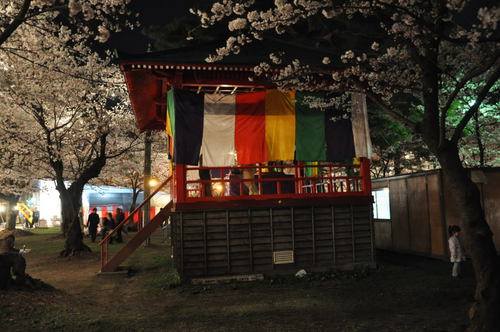 夜桜（城下町高田百万人観桜会）