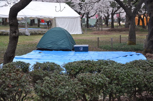 城下町高田百万人観桜会