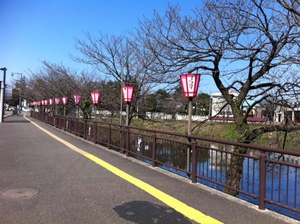 城下町高田百万人観桜会