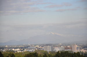 金谷山公園