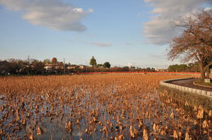 高田公園