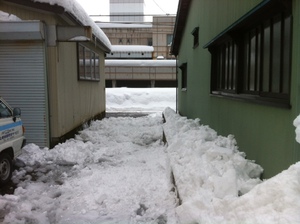 雪下ろし