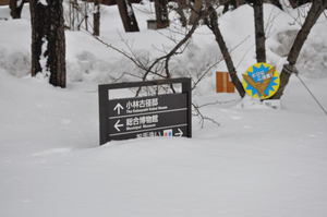 高田公園