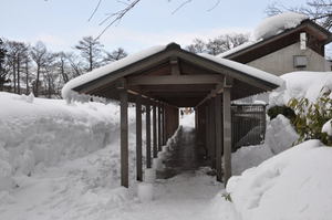 高田公園