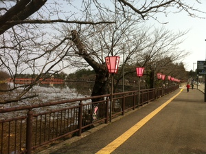 高田場百万人観桜会