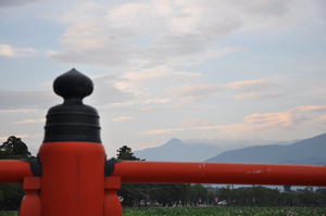 高田公園のはすまつり