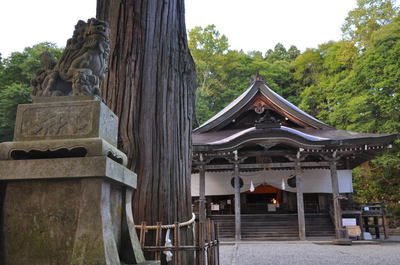 戸隠そば祭り