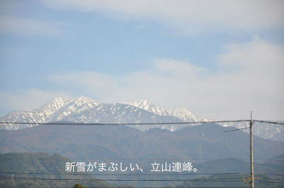 東福寺野自然公園