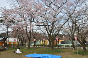 お花見宴会　１