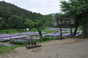 新発田、五十公野公園