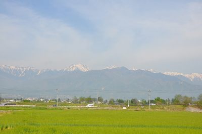 大王わさび農場