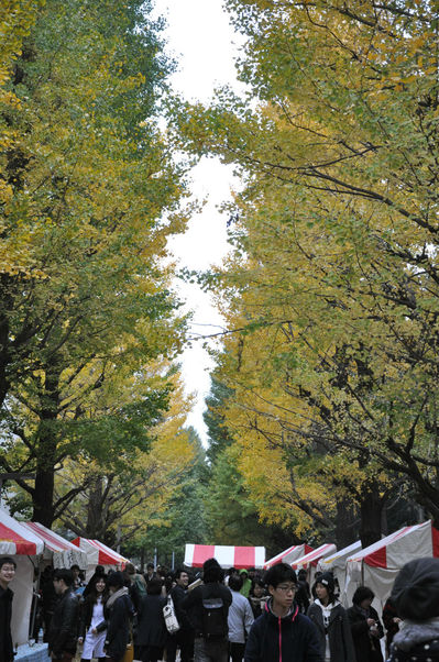 駒場祭