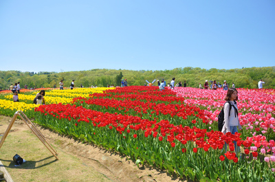 長岡丘陵公園