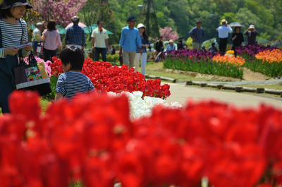 長岡丘陵公園