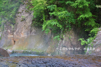 吹き割の滝