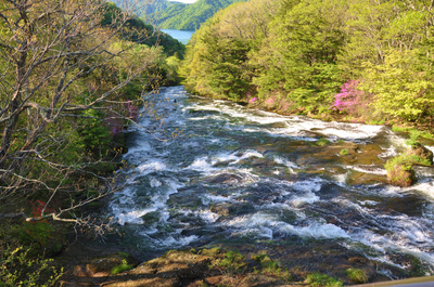 湯川