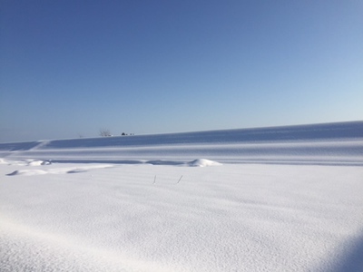 雪景色