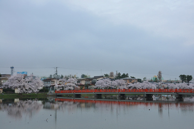 高田百万人観桜会