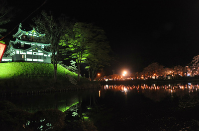 日本三大夜桜