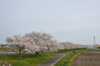 糸魚川