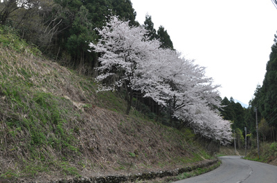 糸魚川　