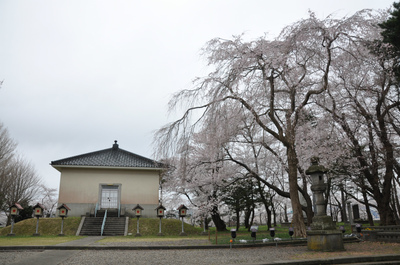 百万人観桜会