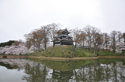 百万人観桜会