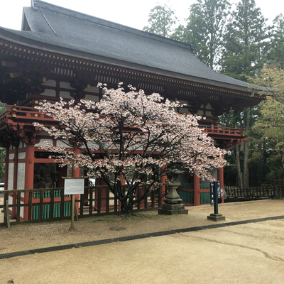 高野山