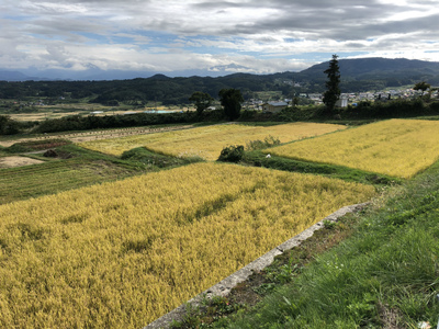 長野