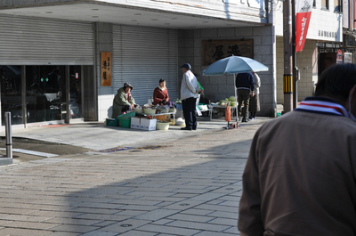 越前大野