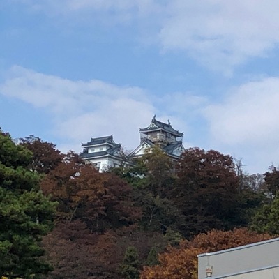 越前大野